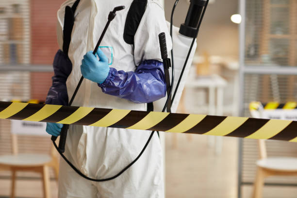 Professional Odor Removal technician working in Colon, MI