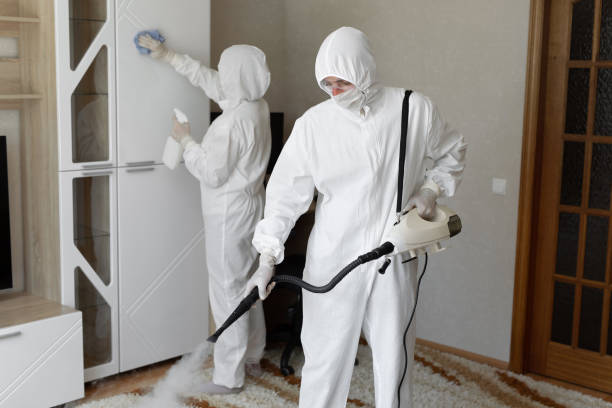 24/7 Emergency Odor Removal experts in Colon, MI